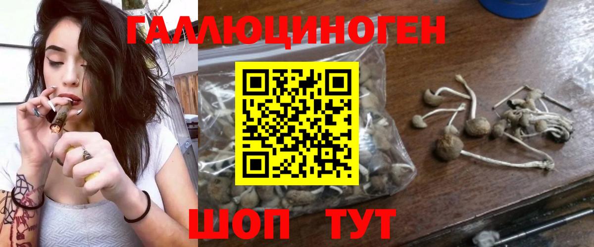 Псилоцибиновые грибы прущие грибы Ханты-Мансийск